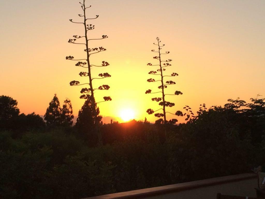 B&B Villa Sul Golfo Quartu SantʼElena Dış mekan fotoğraf