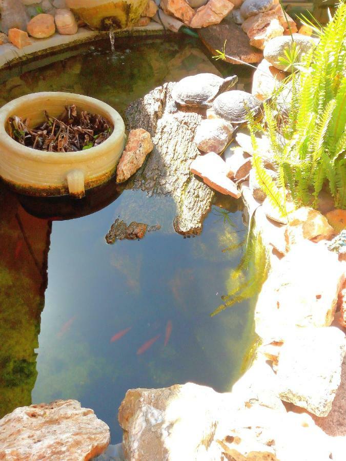 B&B Villa Sul Golfo Quartu SantʼElena Dış mekan fotoğraf