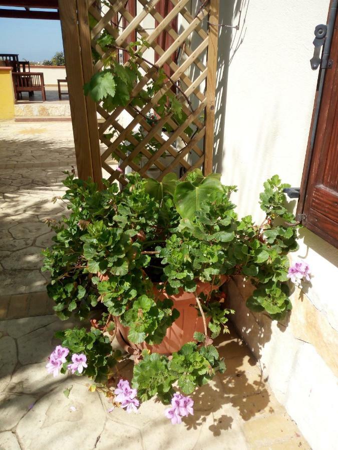 B&B Villa Sul Golfo Quartu SantʼElena Dış mekan fotoğraf